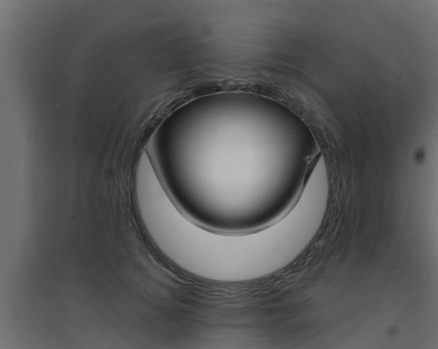 X0000094900756200711291022
