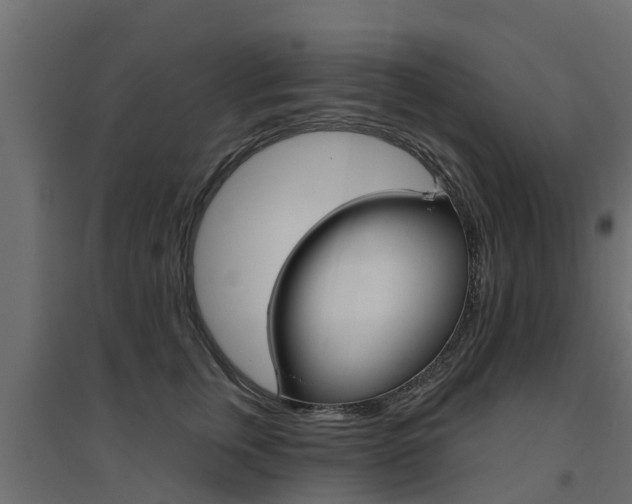 X0000094900759200711291022
