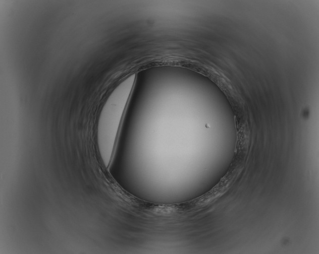 X0000094900762200711291022