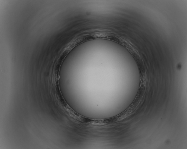 X0000094900763200711291022
