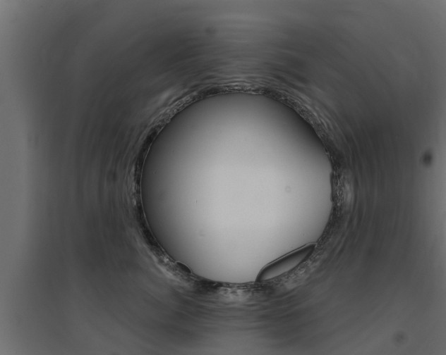 X0000094900764200711291022