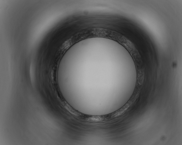 X0000094900765200711291022