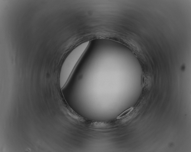 X0000094900766200711291022