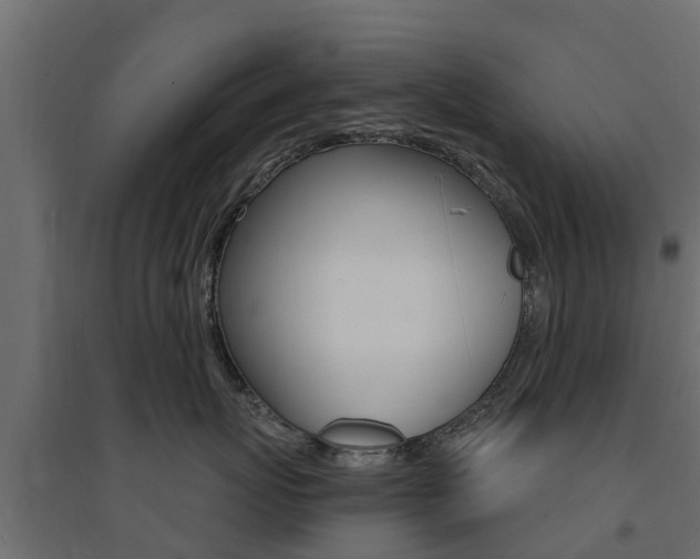 X0000094900767200711291022