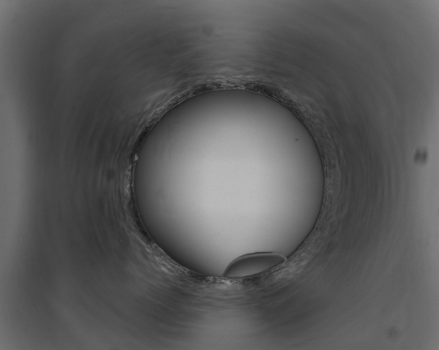 X0000094900768200711291022