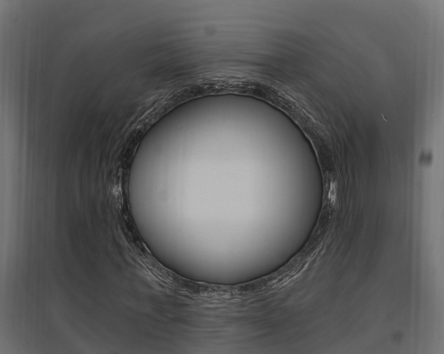 X0000094900771200711291022