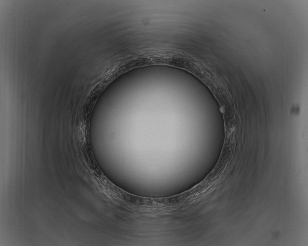 X0000094900772200711291022