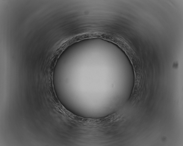 X0000094900773200711291022