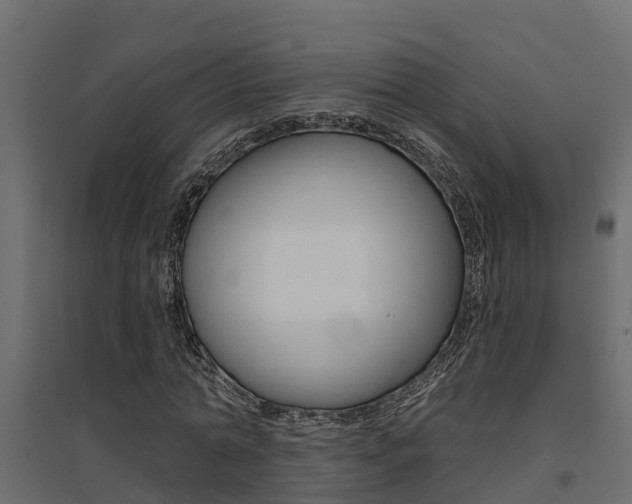 X0000094900774200711291022