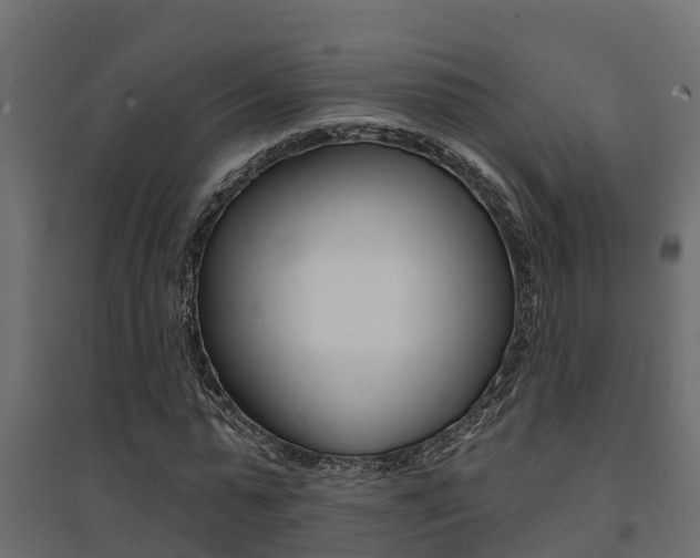 X0000094900775200711291022