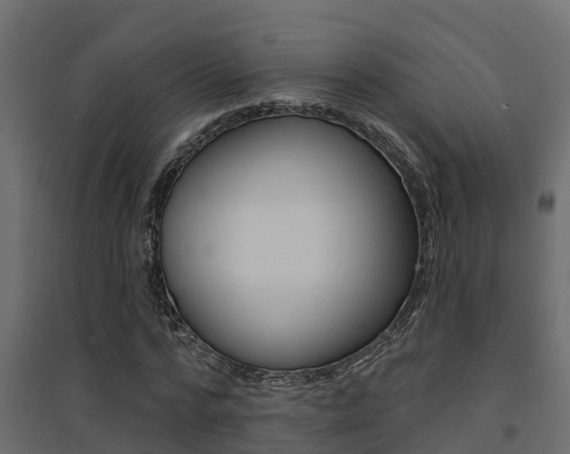 X0000094900776200711291022