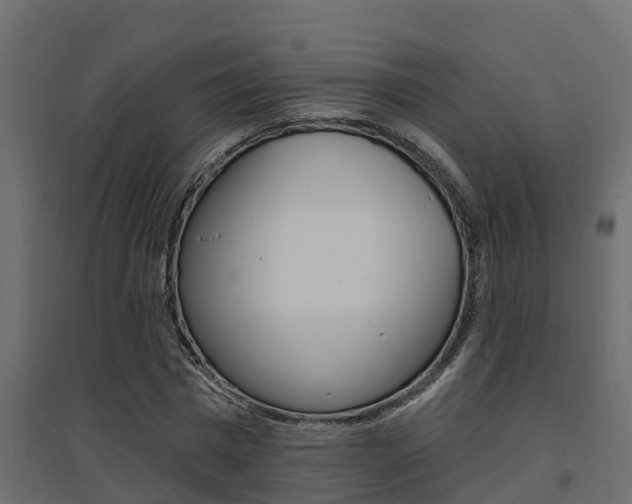 X0000094900777200711291022