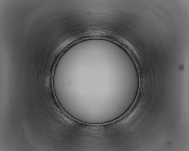 X0000094900778200711291022