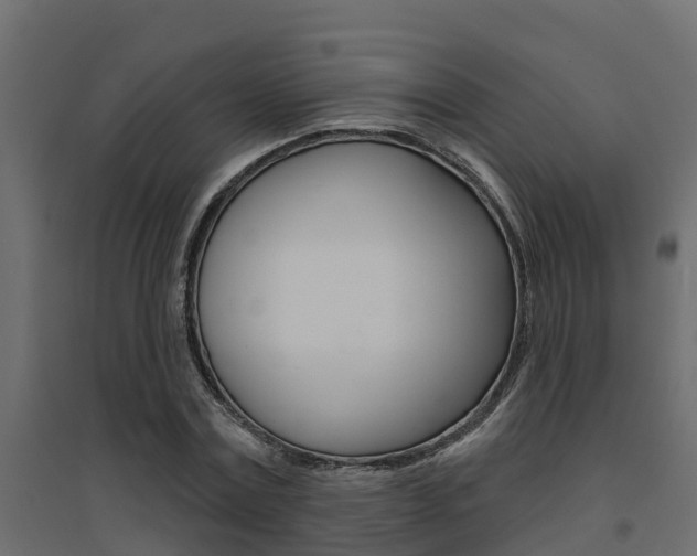 X0000094900779200711291022
