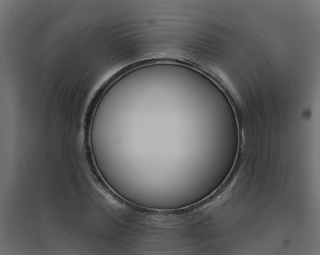 X0000094900780200711291021