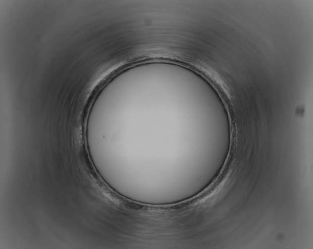 X0000094900782200711291021