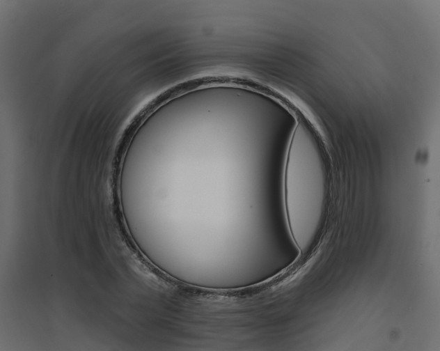 X0000094900783200711291021