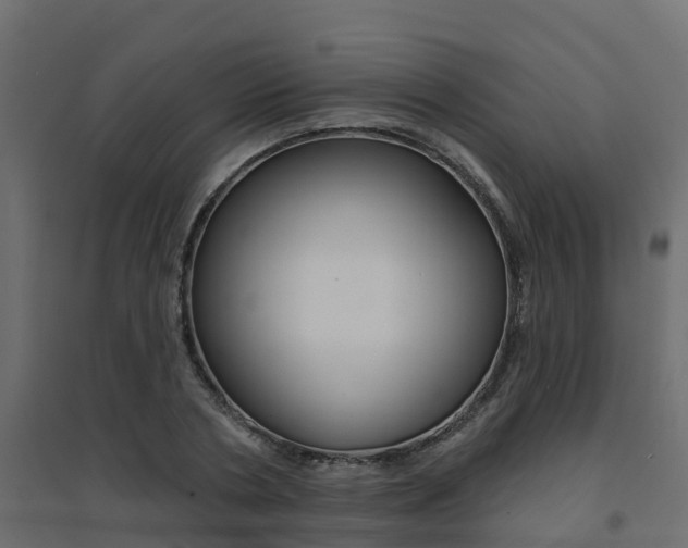 X0000094900786200711291021
