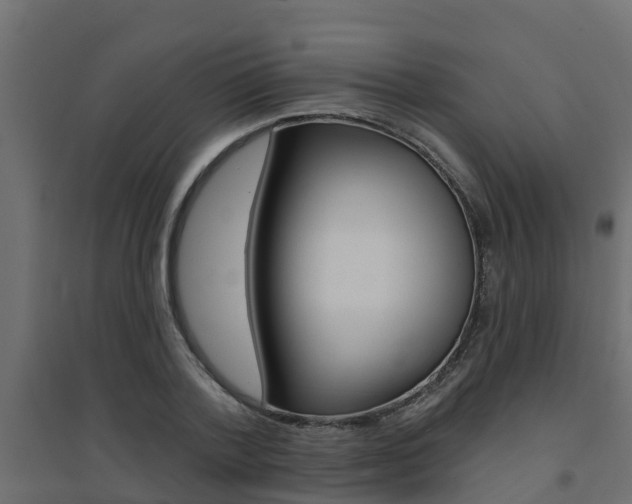 X0000094900788200711291021