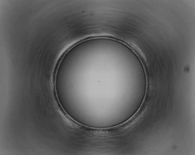 X0000094900789200711291021