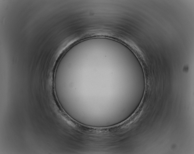 X0000094900790200711291021