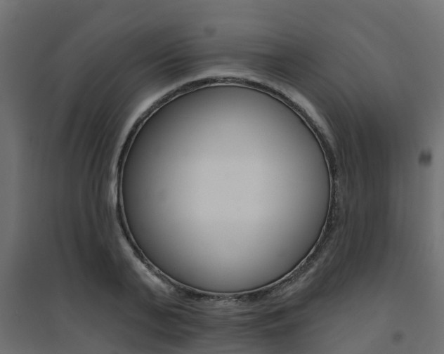 X0000094900791200711291021