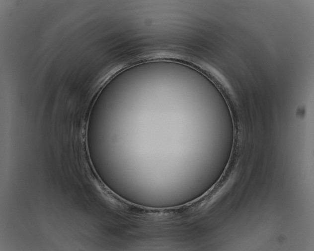 X0000094900793200711291021