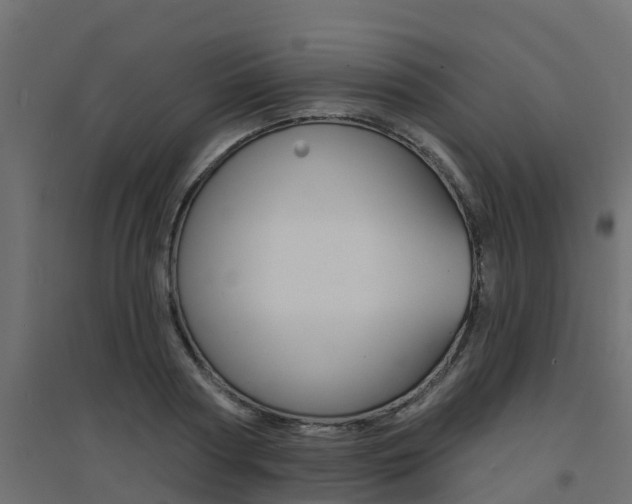 X0000094900794200711291021