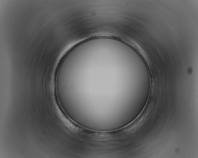 X0000094900795200711291021