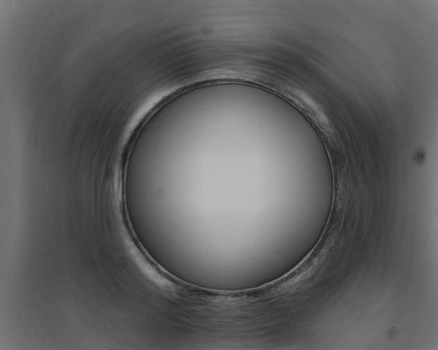 X0000094900796200711291021