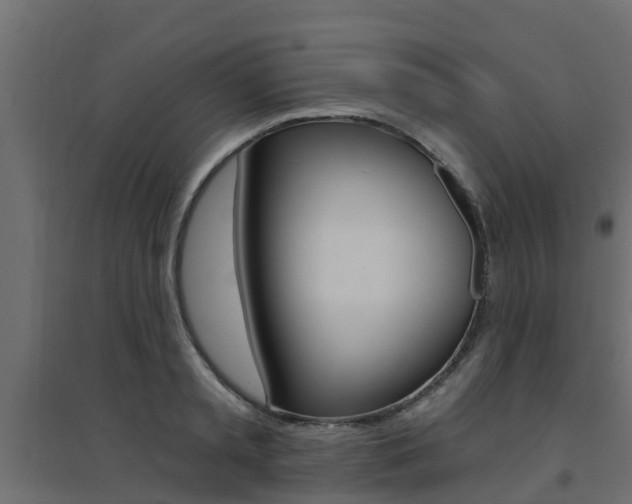 X0000094900797200711291021