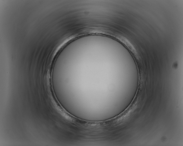 X0000094900798200711291021