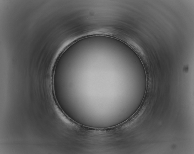 X0000094900800200711291021