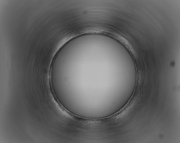 X0000094900802200711291021
