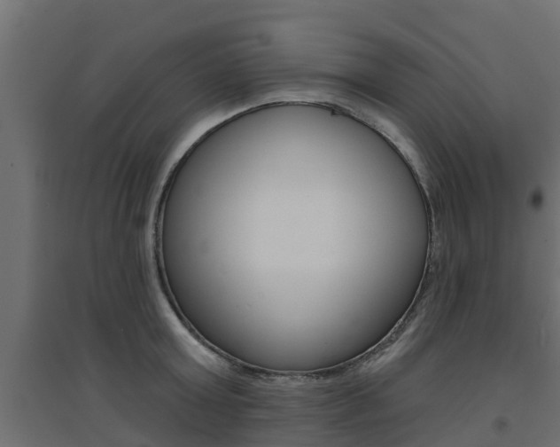 X0000094900803200711291021