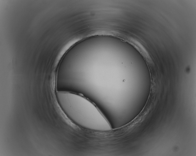 X0000094900804200711291021