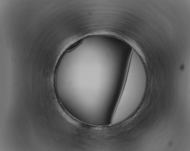 X0000094900805200711291021