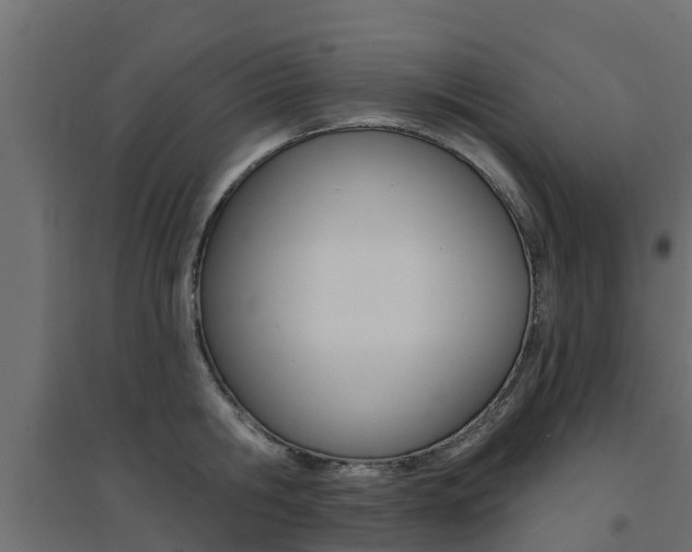 X0000094900806200711291021