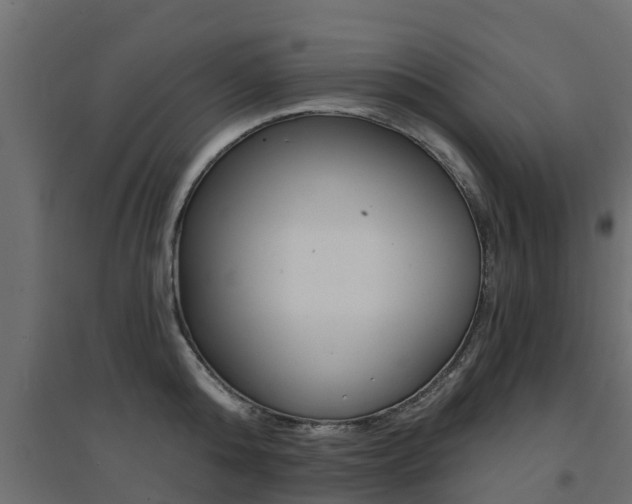 X0000094900808200711291021