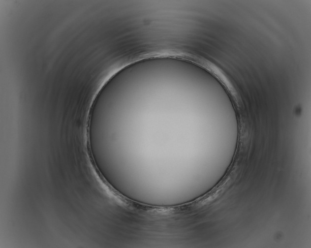 X0000094900810200711291021