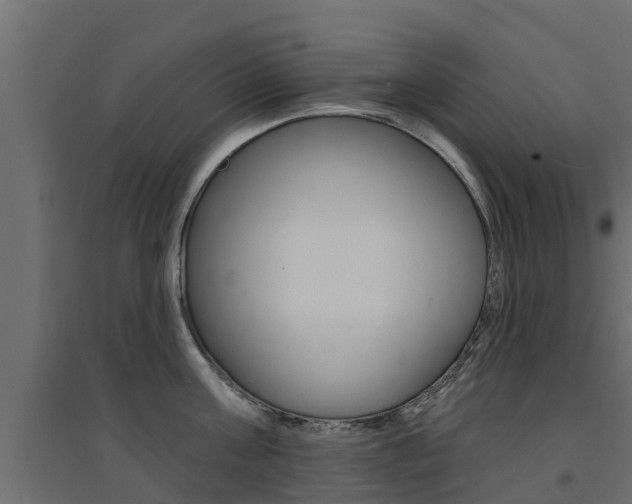 X0000094900811200711291021