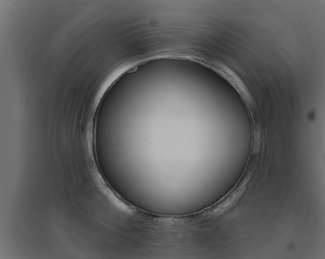 X0000094900812200711291021