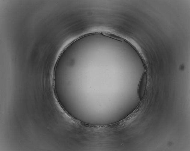 X0000094900815200711291021