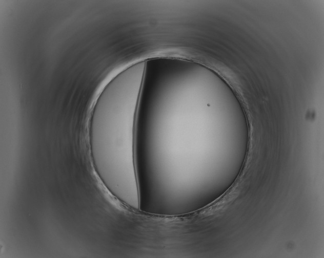 X0000094900816200711291021