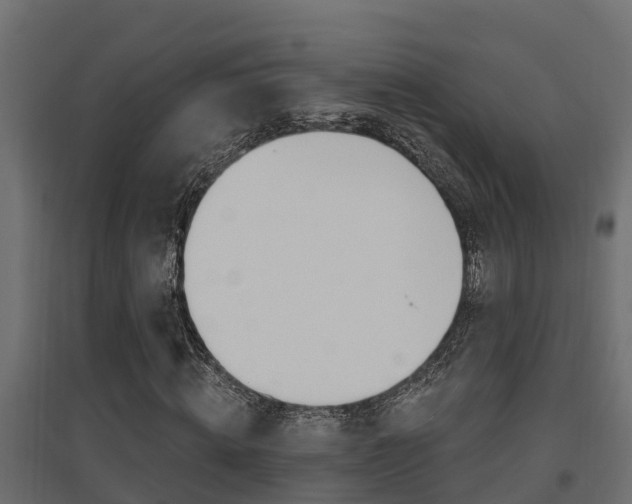 X0000094900820200711291020