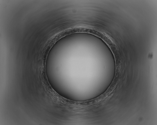 X0000094900821200711291020