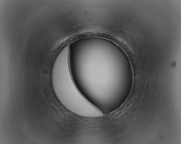X0000094900822200711291020