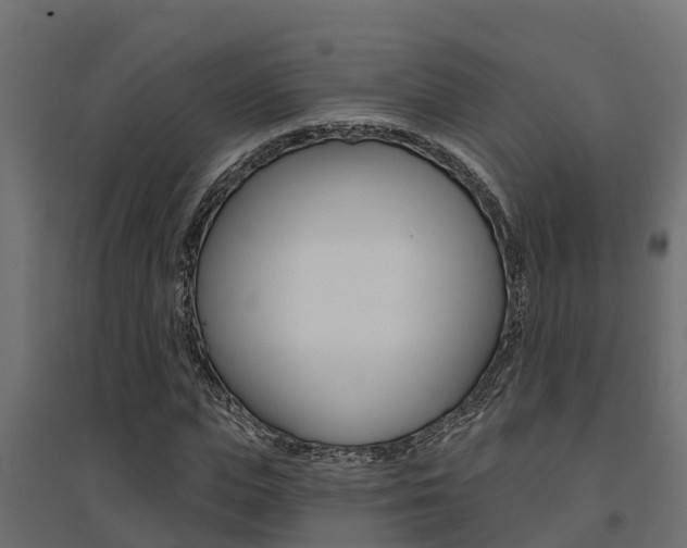 X0000094900823200711291020