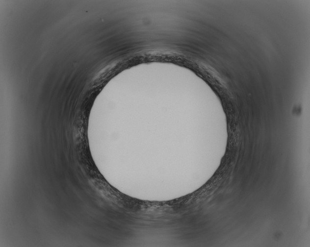 X0000094900824200711291020
