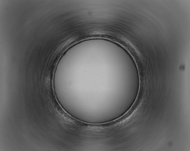 X0000094900825200711291020